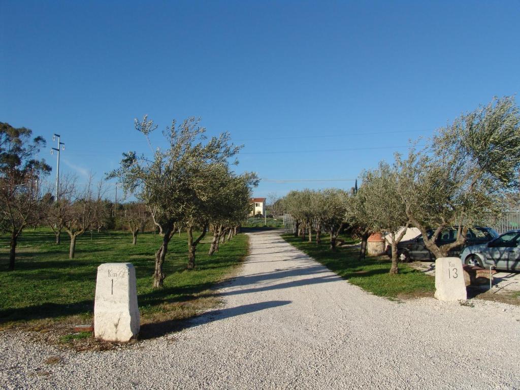 Podere 1248 Ladispoli Kültér fotó