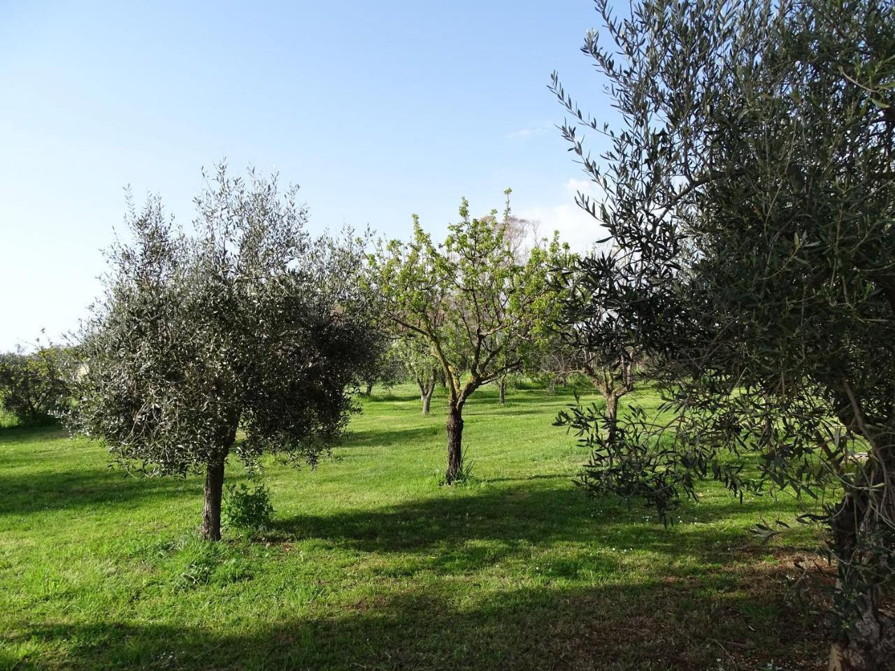 Podere 1248 Ladispoli Kültér fotó